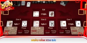 Ngầu Hầm Xem Bài
